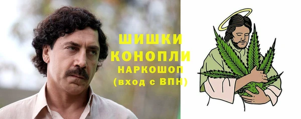 дживик Нягань