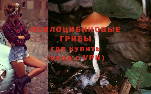 МДПВ Алексеевка